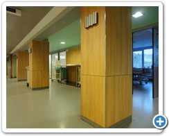 Hastane Dekorasyon / Tadilat